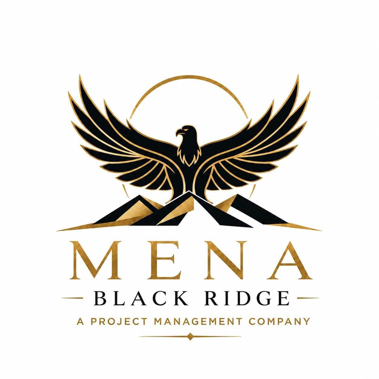 Mena Blackridge Project Management